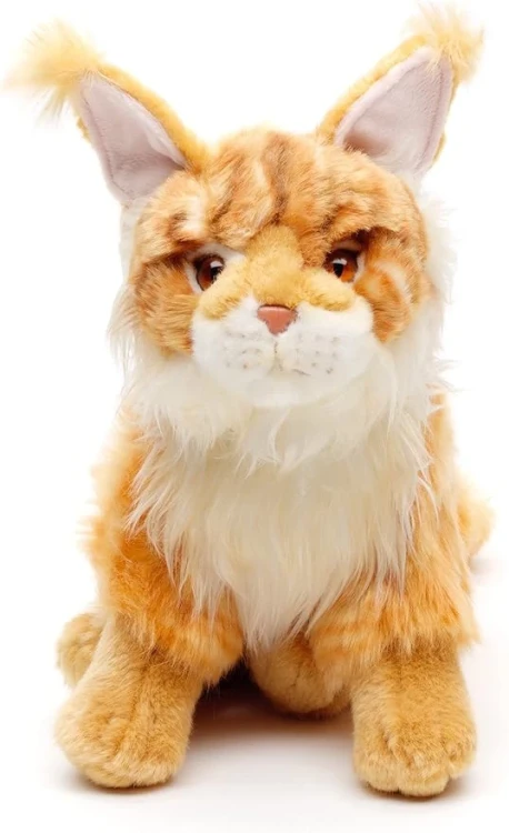kot Maine Coon z puszystym ogonem