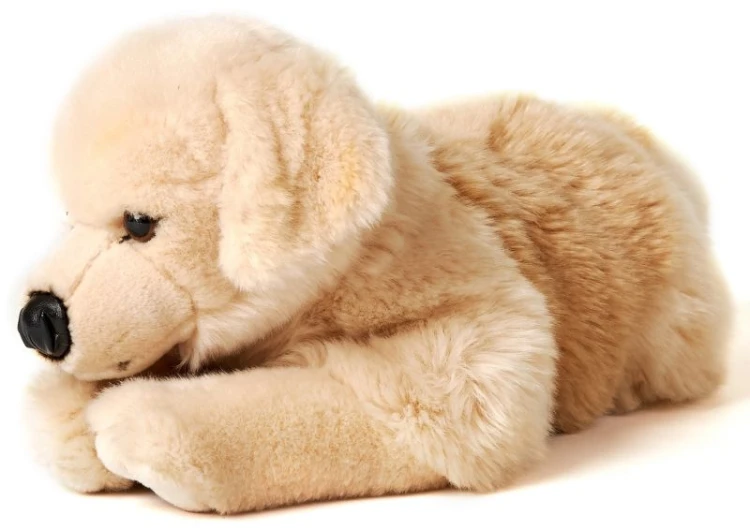 golden retriever leżący maskotka 43 cm
