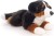 berneński pies pasterski maskotka Uni-Toys