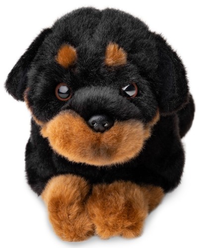 realistyczny pies rottweiler pluszak