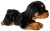 czarno brązowy rottweiler przytulanka
