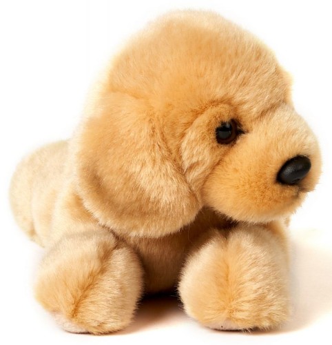 maskotka psa Golden Retriever z jasnym futerkiem
