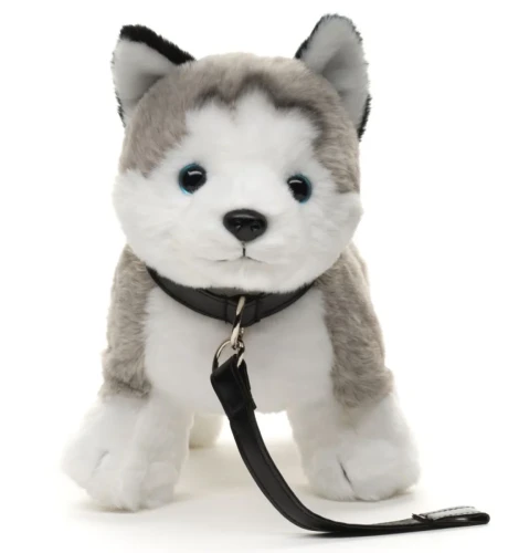 stojący husky na smyczy przytulanka dla dziecka