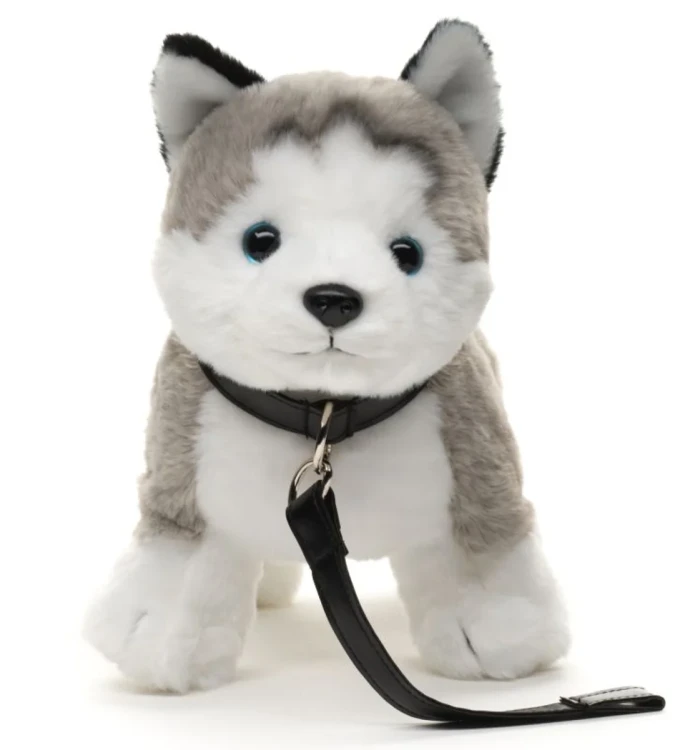 stojący husky na smyczy przytulanka dla dziecka