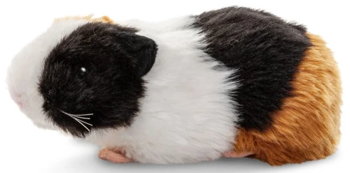 pluszak świnka morska Uni-Toys 20 cm