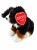berneński pies pasterski Beppe 22 cm siedzący