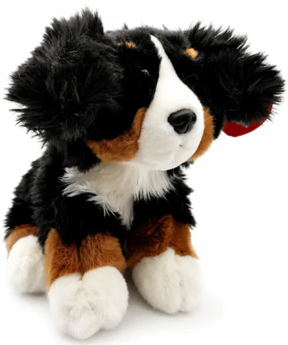 berneński pies pasterski Beppe 22 cm siedzący