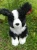 czarno biały border collie przytulanka