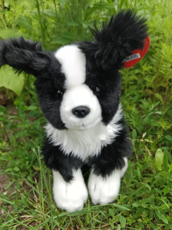 czarno biały border collie przytulanka