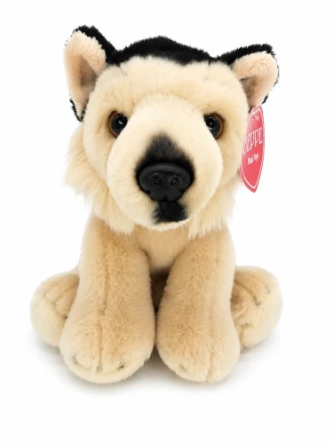 owczarek niemiecki Beppe 22 cm siedzący