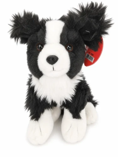 maskotka piesek border colie beppe