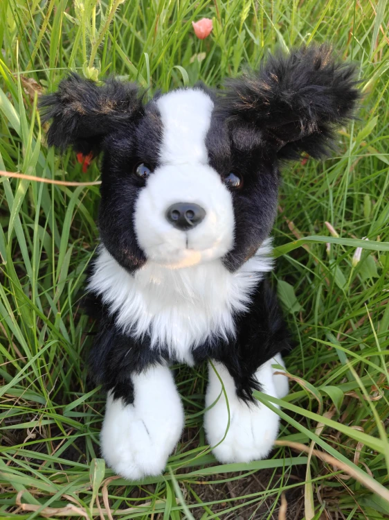 realistyczny pies essa dog