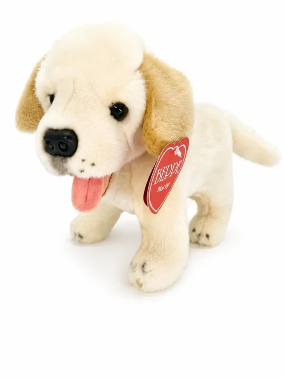 maskotka szczeniak labrador stojący beppe