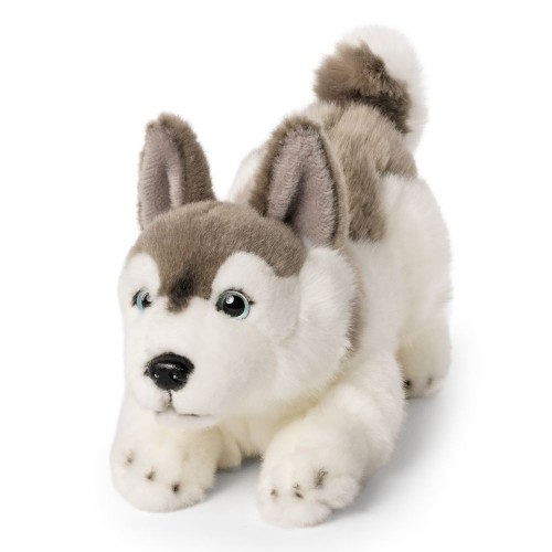 realistyczny pluszak husky Living Nature 23 cm
