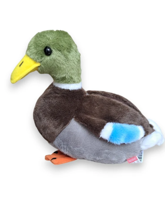 Pluszak kaczka krzyżówka Beppe 28 cm widok z boku