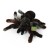 Pluszak pająk 25 cm Rappa z kolekcji Plush World