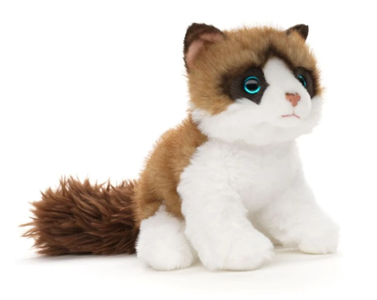 Pluszowy Ragdoll z niebieskimi oczami