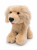 Golden Retriever Beppe