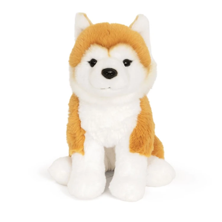 Pies Shiba Inu Keycraft rude i białe umaszczenie