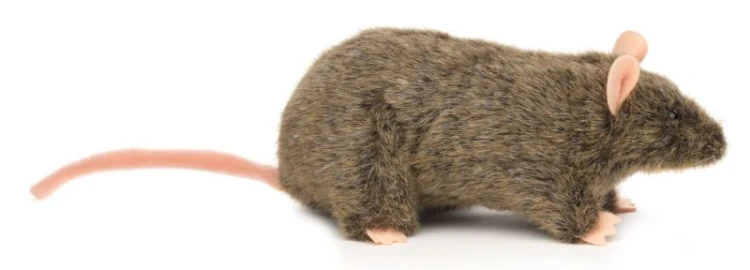 Szarobrązowy szczur pluszak 29 cm z ogonem widok z boku