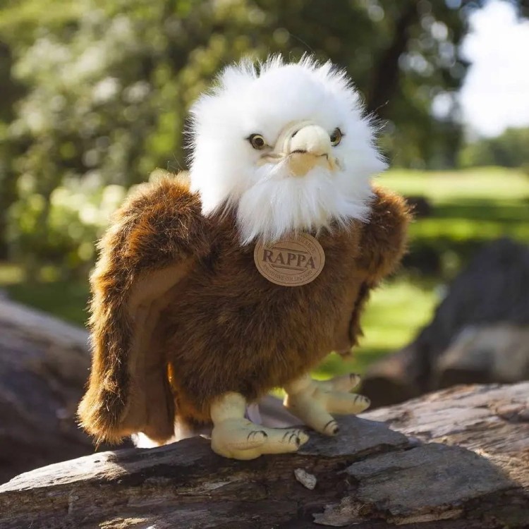 alt="Maskotka bielik Rappa – ekologiczny ptak o pięknym, brązowo-białym upierzeniu"