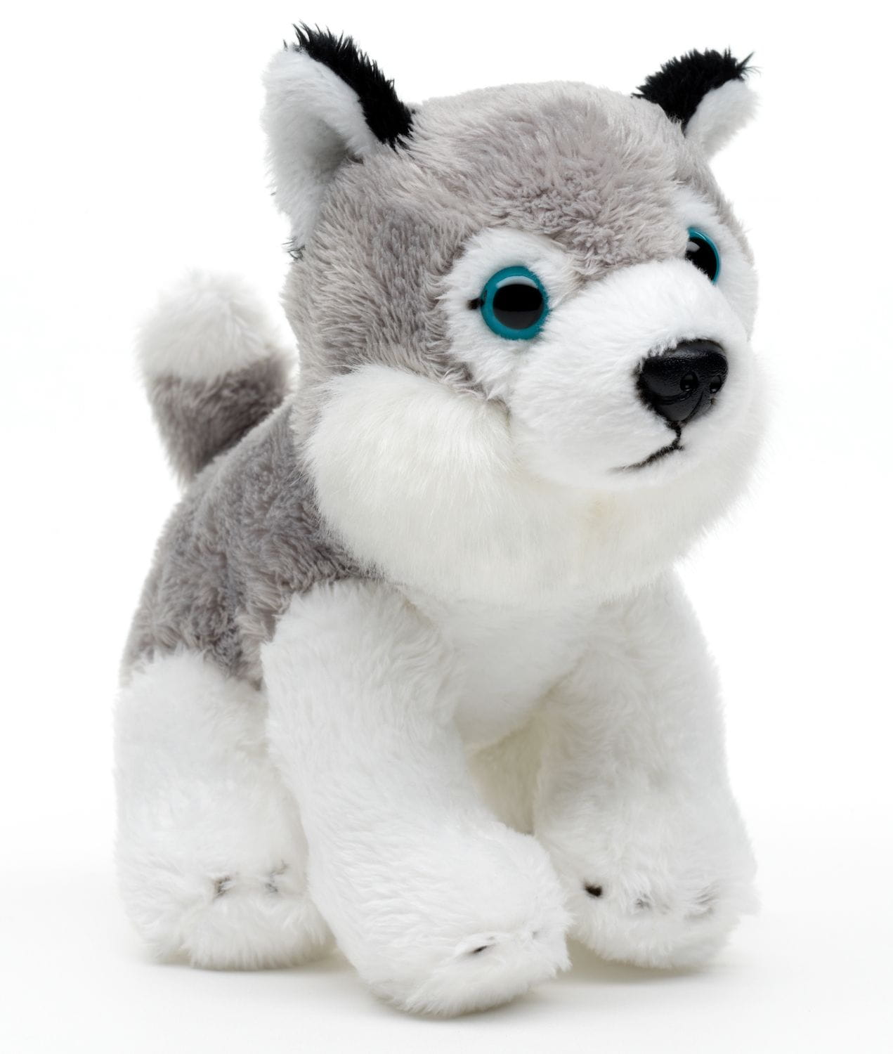 Pluszak pies Husky siedzący Eco Friendly Uni-Toys 13 cm – realistyczna maskotka