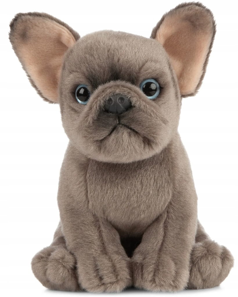 Pluszak Pies Buldog Francuski 19cm Living Nature